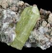 Apatite Crystals with Quartz - Durango, Mexico #64018-1